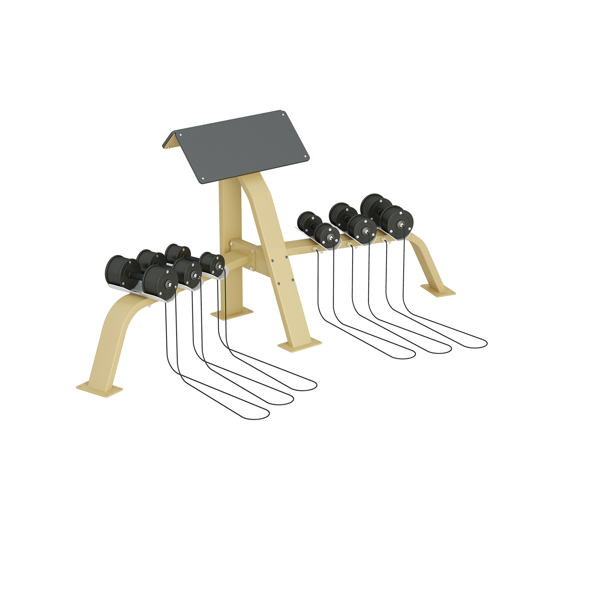 Inter Atletika Scott Bench With Dumbells Galvanized 5714434146108