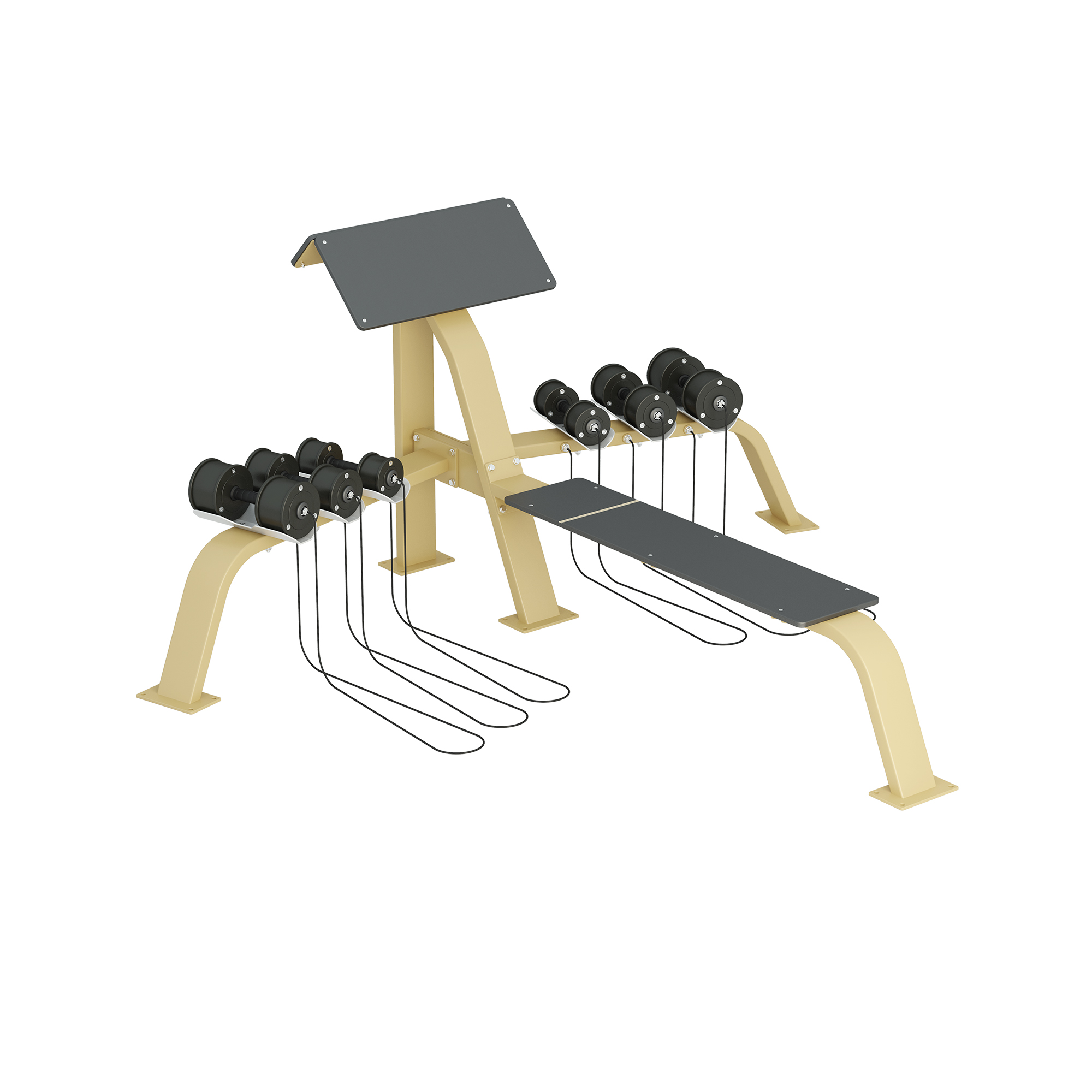Inter Atletika Scott Bench Bench Press With Dumbells Galvanized 5714434146115